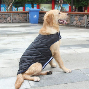 Keep Your Furry Friend Stylish and Warm with Our Winter Cotton Coat