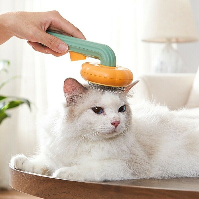 The Ultimate Grooming Experience for Your Pet