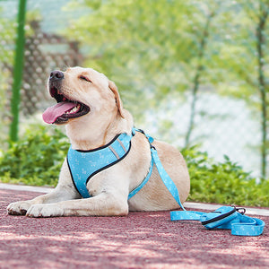 The Perfect Pet Companion: Pet Dog Leash Harness With Bow