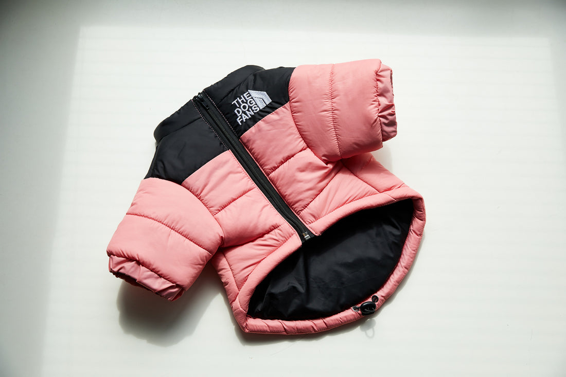 Winter Warm Pet Cotton-padded Clothes