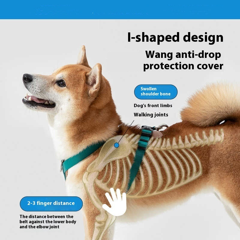 Explosion-proof Okinawa Dog Leash