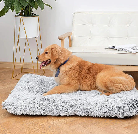 Memory Foam Deep Sleep Dog Sofa Bed