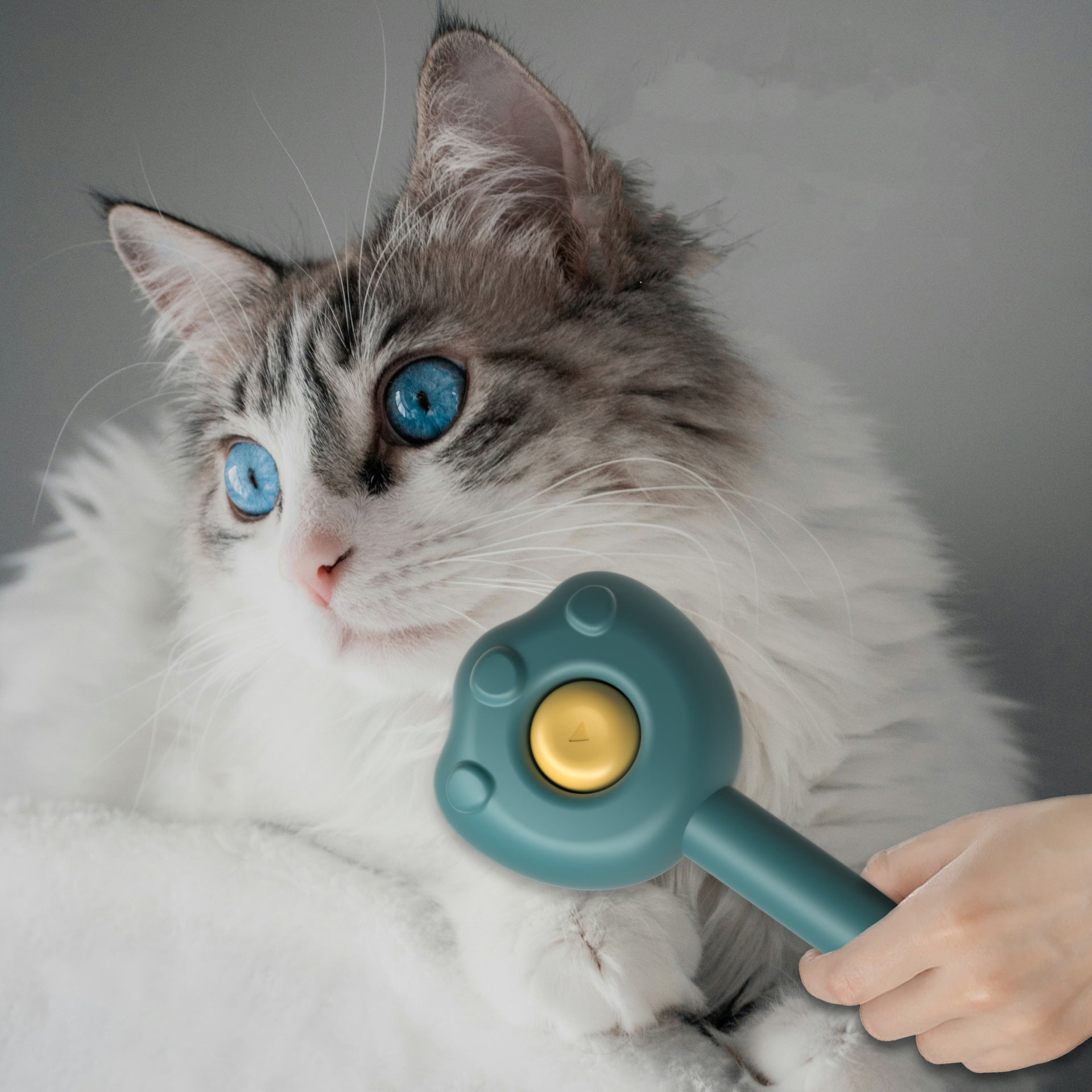 Pet Grooming Comb Cat Brush Hair