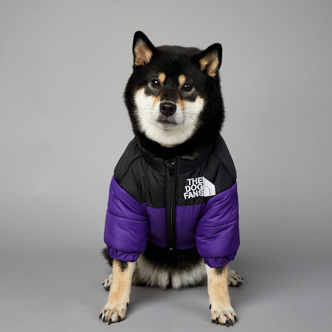 Winter Warm Pet Cotton-padded Clothes