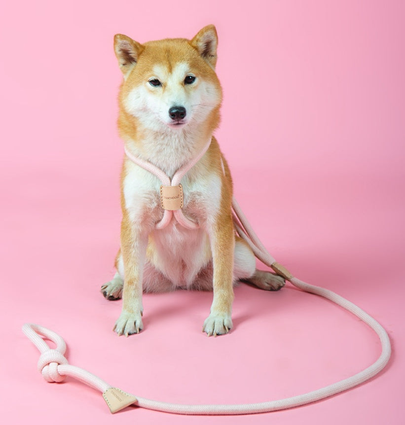 Integrated Round Rope Dog Leash