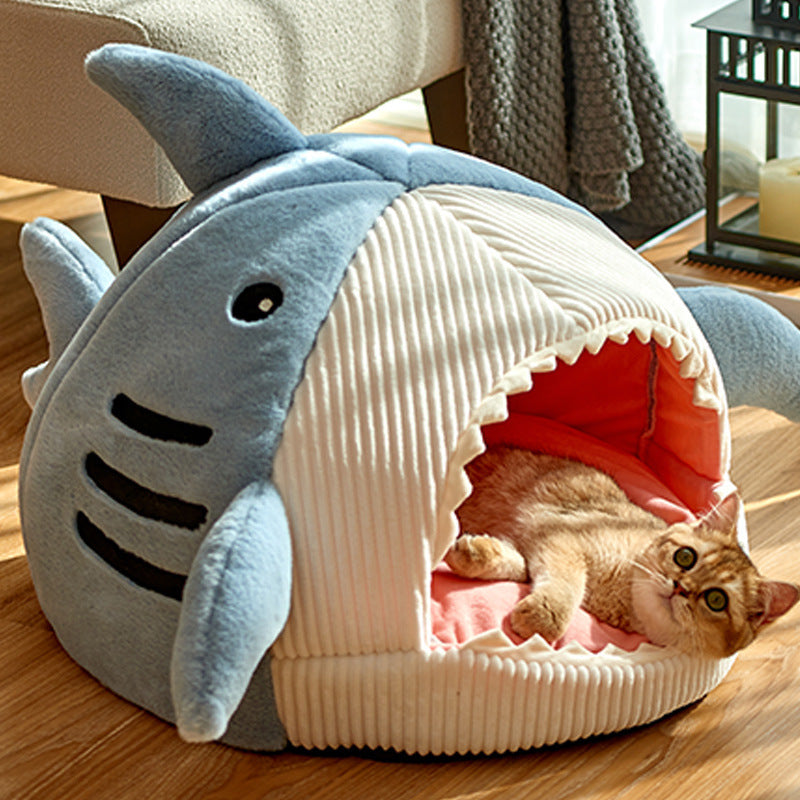 Internet Celebrity Shark Cathouse