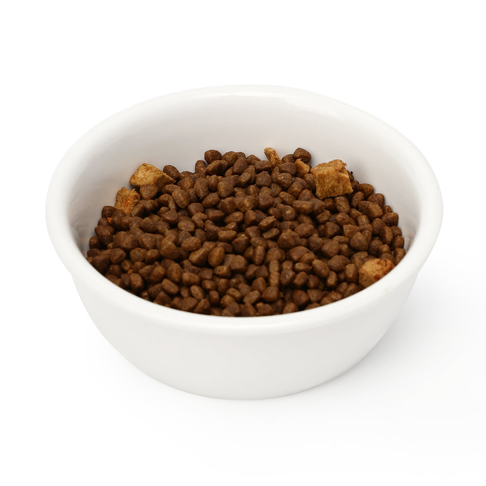 Cat Ceramic Water Bowl Tall Drinking