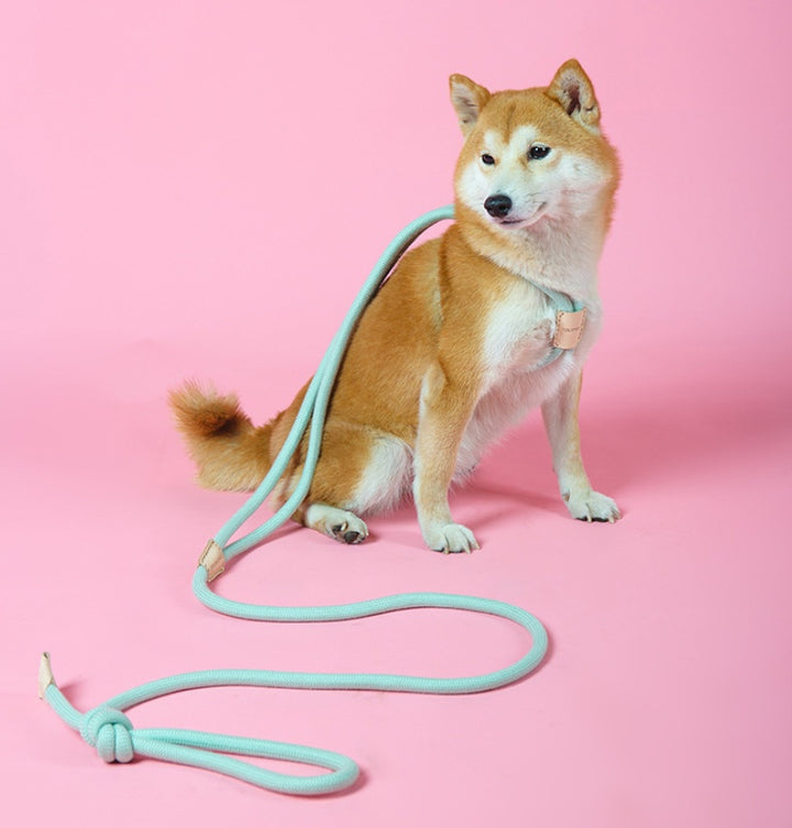 Integrated Round Rope Dog Leash