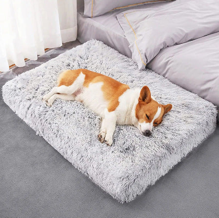 Memory Foam Deep Sleep Dog Sofa Bed
