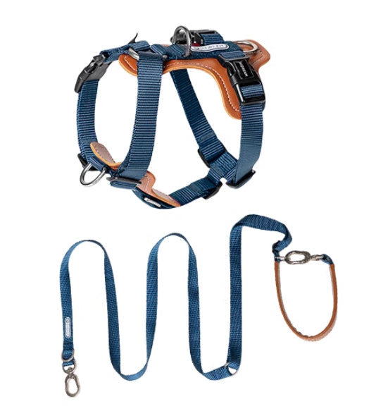 Explosion-proof Okinawa Dog Leash
