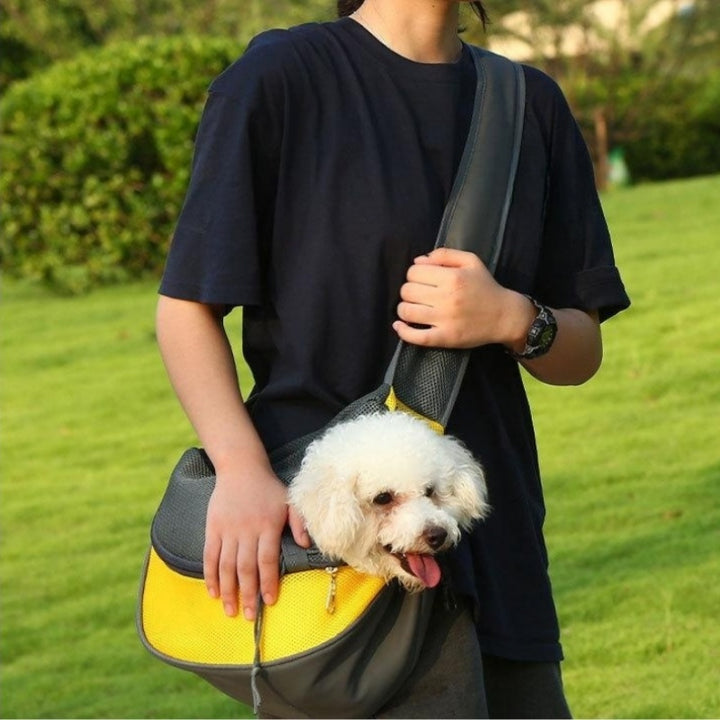 Mesh Oxford Pet Puppy Carrier Handbag