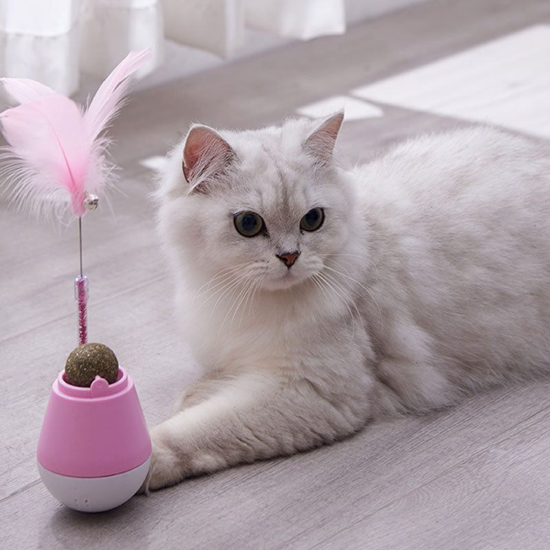 Tumbler funny cat toy