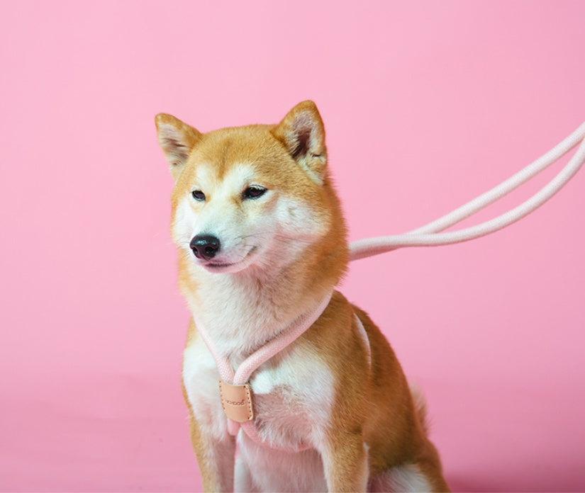 Integrated Round Rope Dog Leash