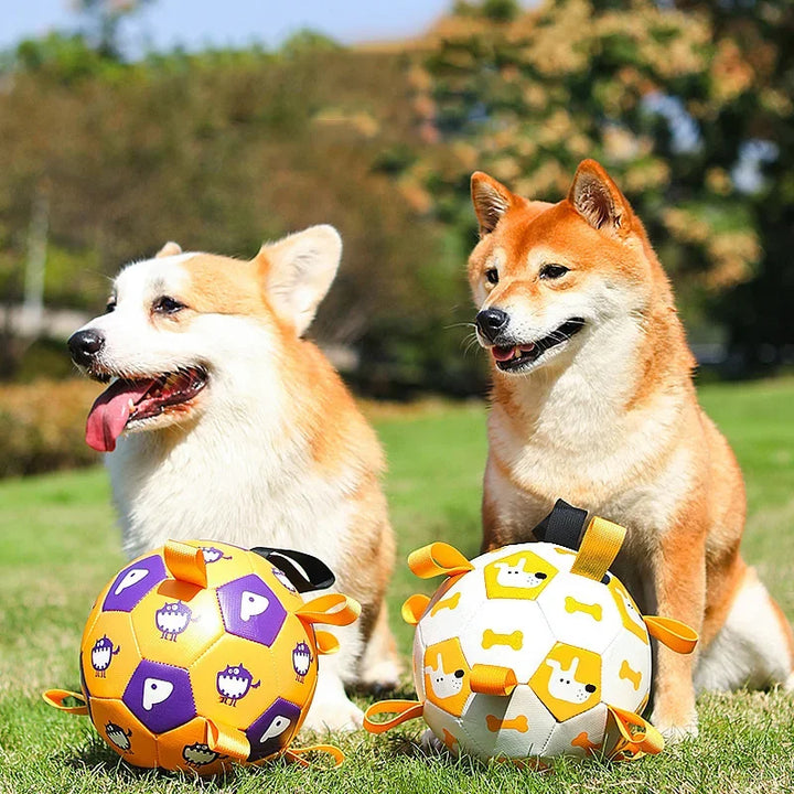 Dog Interactive Football Toys Children Soccer