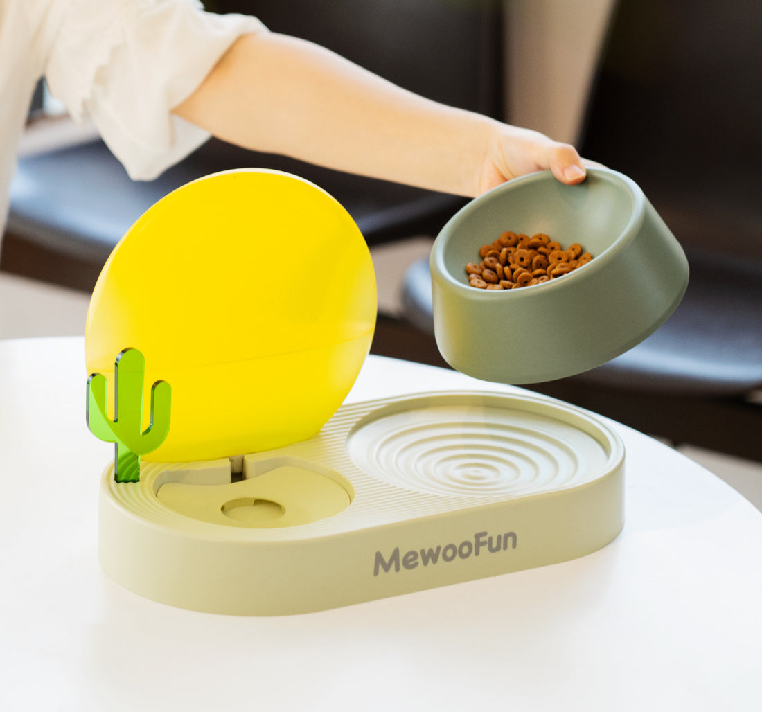 Cat Plastic Drinking Water Rice Basin Double Bowl