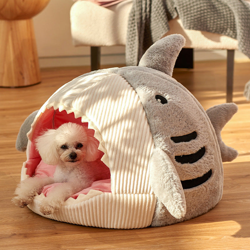 Internet Celebrity Shark Cathouse