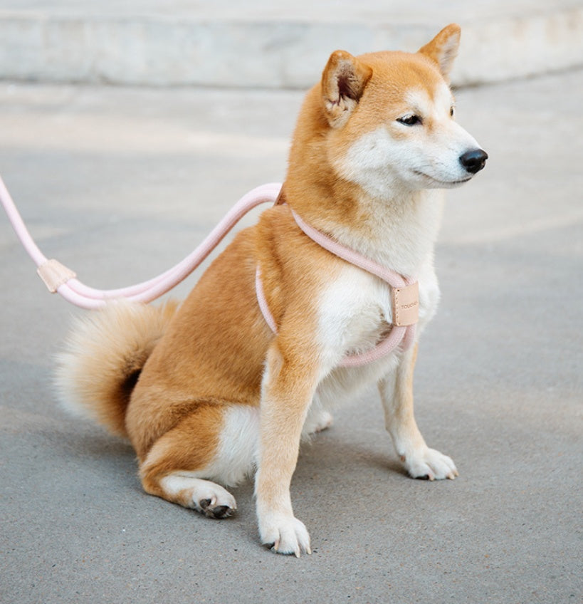 Integrated Round Rope Dog Leash