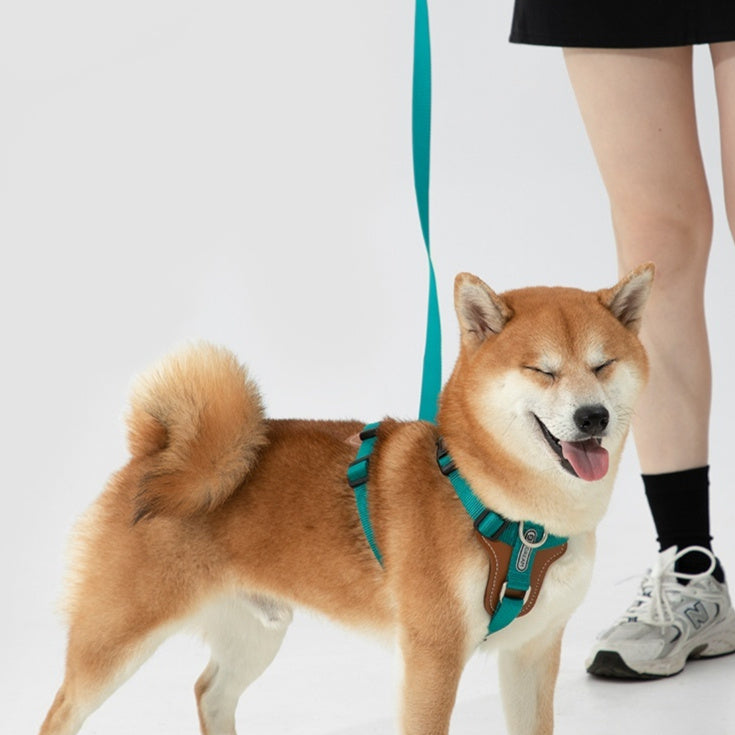 Explosion-proof Okinawa Dog Leash