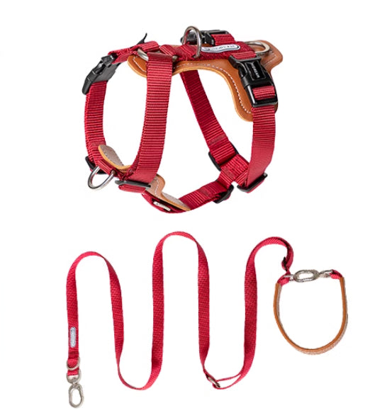 Explosion-proof Okinawa Dog Leash