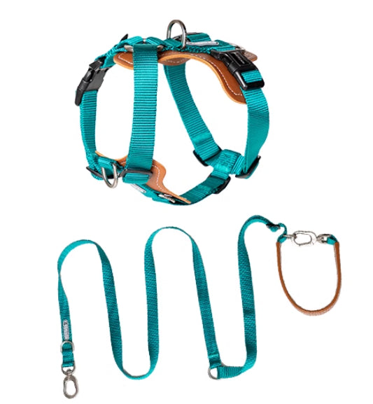 Explosion-proof Okinawa Dog Leash