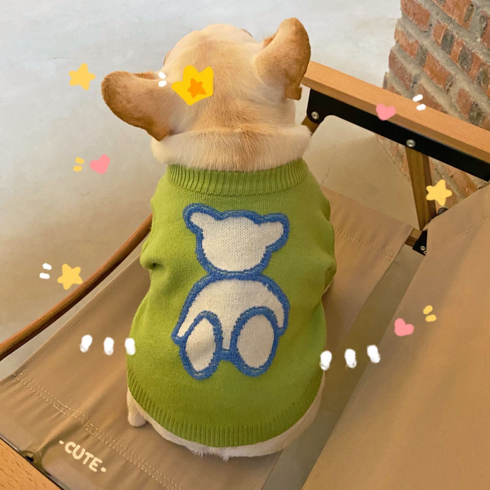 Pet Clothes Dog Cat Puppy Fall Winter Sweater