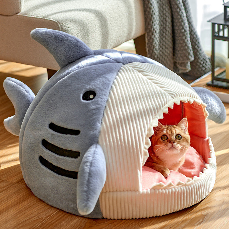 Internet Celebrity Shark Cathouse