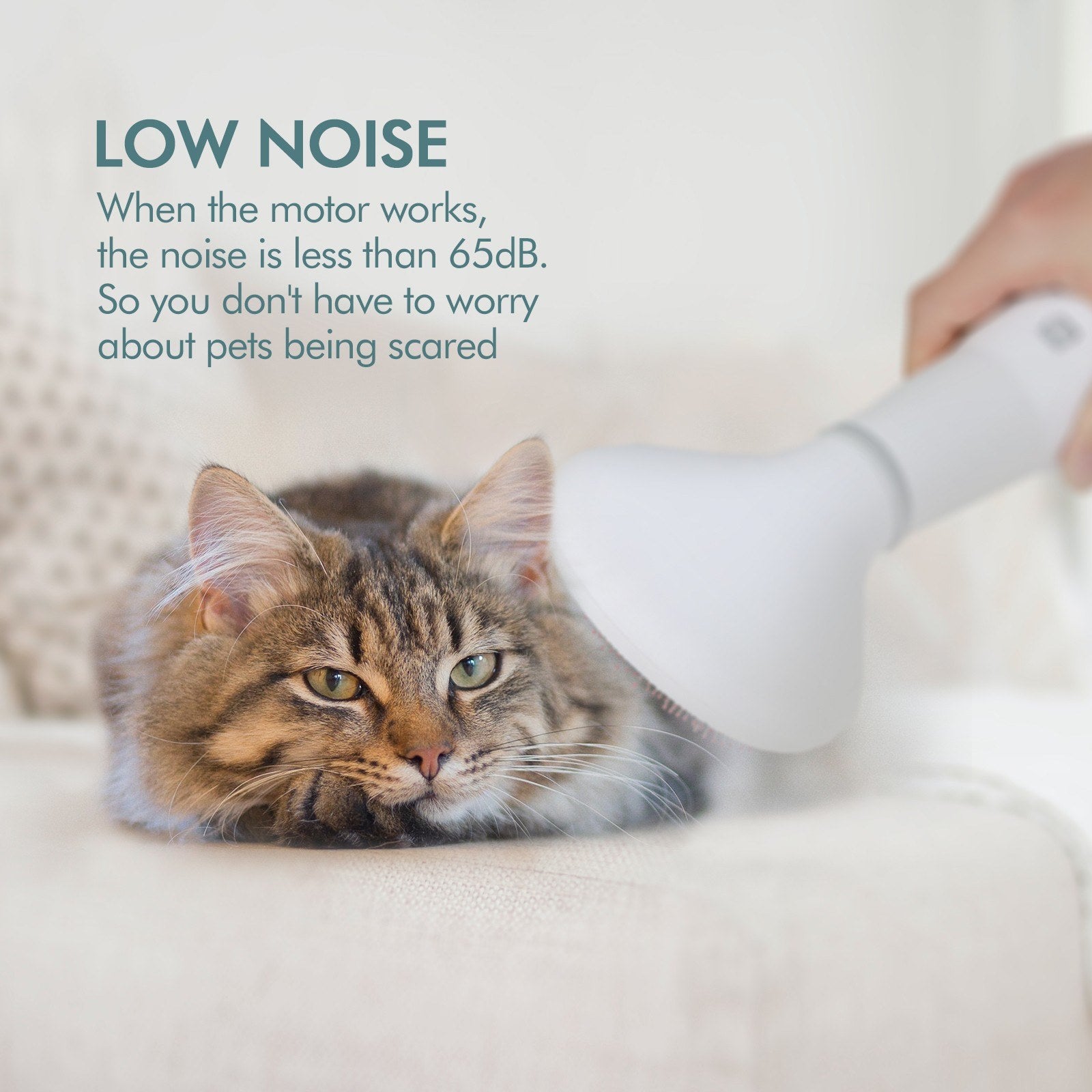 Dadypet Pet Dog Hair Dryer Grooming Dryer