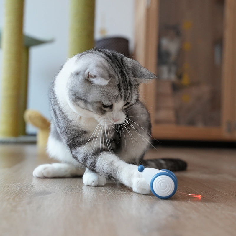 Cat Electric Mouse Cat Toy Boredom