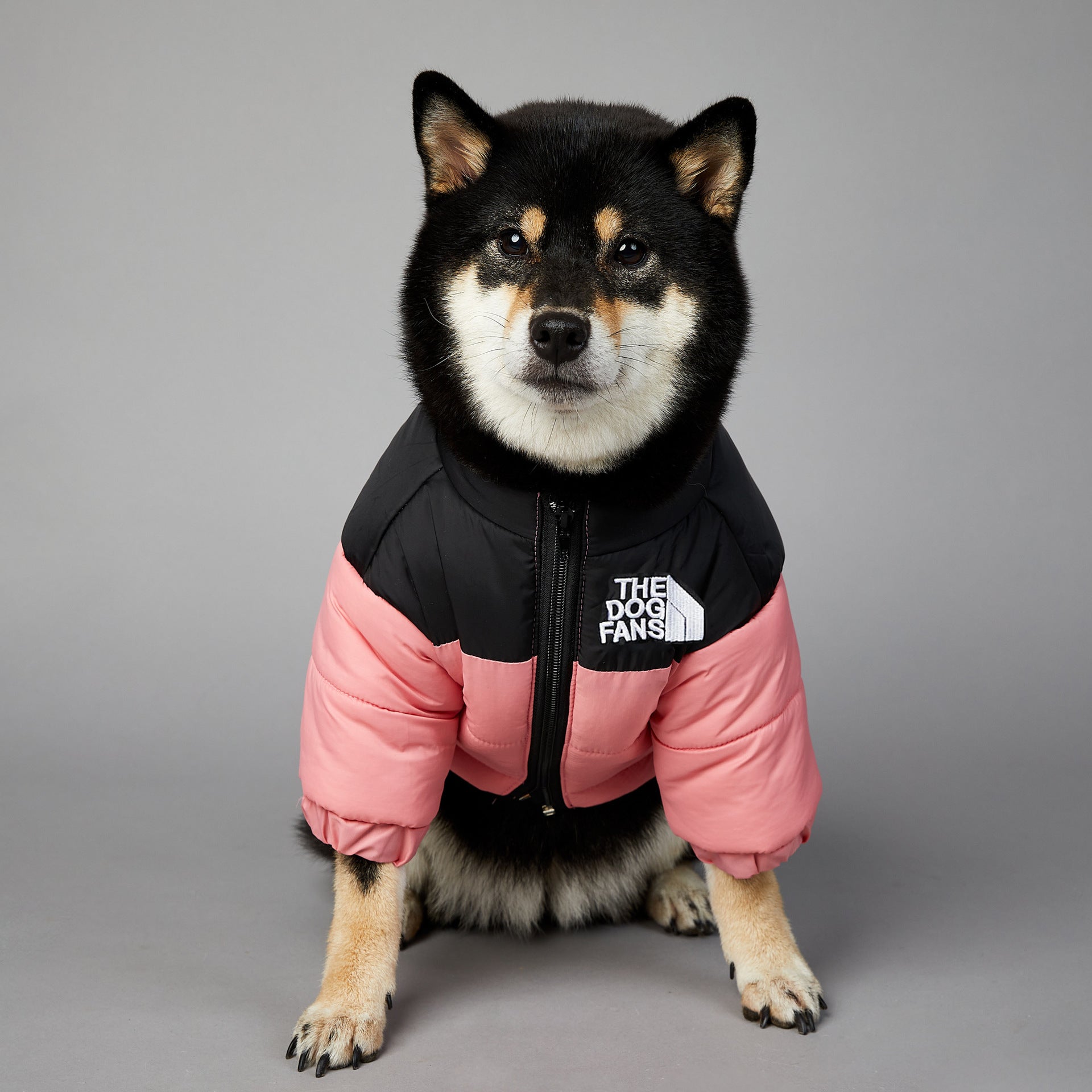 Winter Warm Pet Cotton-padded Clothes