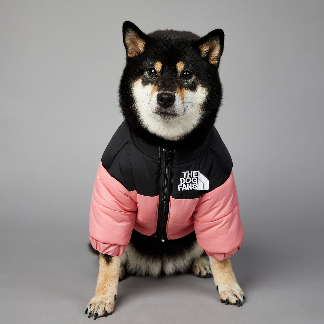 Winter Warm Pet Cotton-padded Clothes