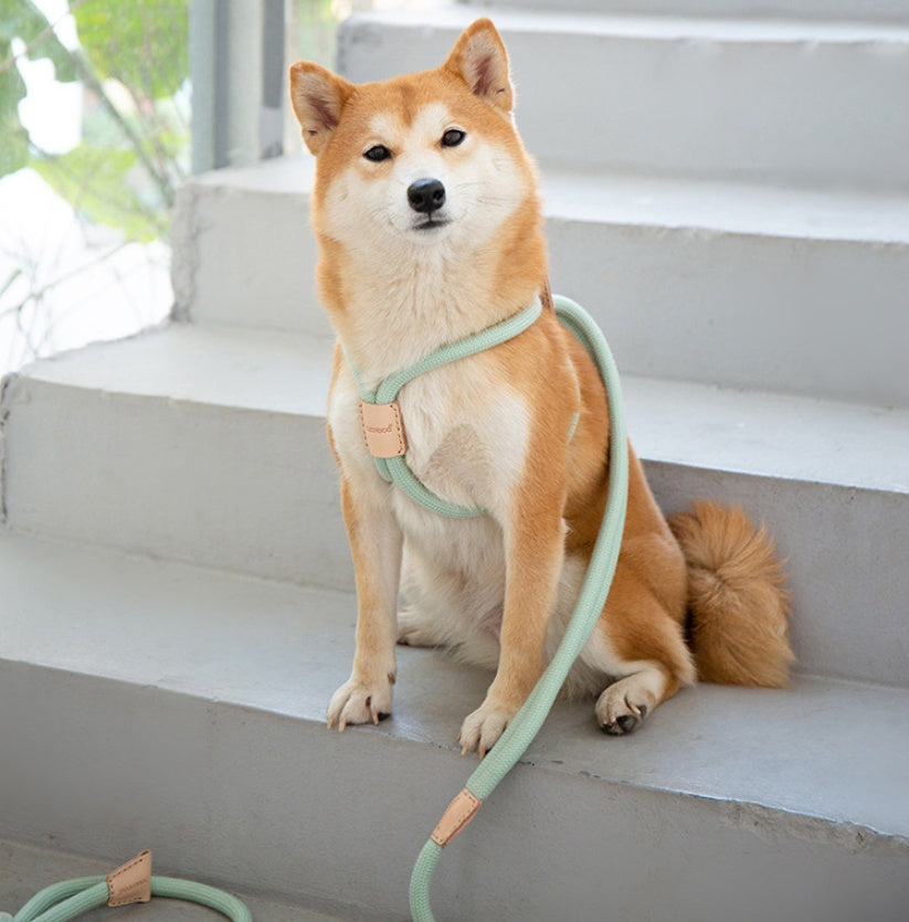 Integrated Round Rope Dog Leash